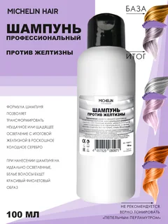 Шампунь для волос Michelin против желтизны в холодное серебро 100 мл