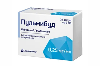 Пульмибуд 0,25 мг / мл 2 мл 20 шт суспензия для ингаляций дозированная