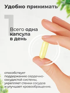 Рутин 100 мг, для сердца и сосудов, 180 капсул, VitaMeal
