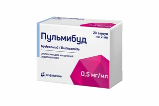Пульмибуд 0,5 мг / мл 2 мл 20 шт суспензия для ингаляций дозированная