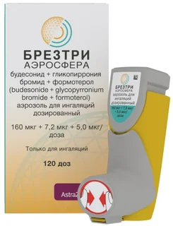 Брезтри Аэросфера аэроз. для инг дозир. 120 доз