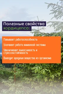 Кордицепс Нау 90 шт капсулы