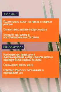 Холин+Инозитол 100 шт капсулы