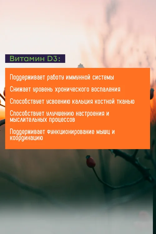 Витамин D3 NOW 300 мг 180 шт капсулы
