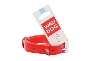Ошейник Collar для собак waudog glamour обхват шеи 30-39 см