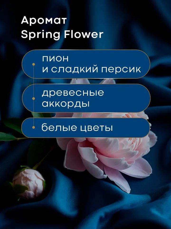 Гель для стирки с кондиционером 2в1 Aroma LUX Spring Flower 5л
