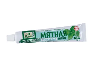 Зубная паста Весна Главаптека Мятная освежающая мята без пенала 90 гр