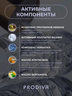 Шампунь тонирующий с фиолетовыми пигментами THE Foundation Silver Prodiva, 250 мл