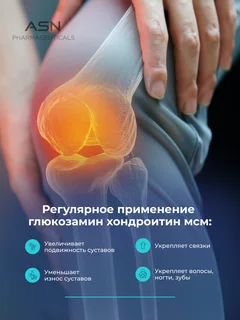 Глюкозамин Хондроитин МСМ ASN Pharmaceuticals 120 капсул
