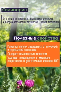 Силимарин NOW 580 мг 50 шт капсулы