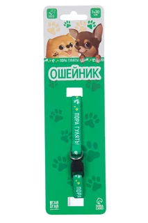 Ошейник с фастексом «Пора гулять» 30×1 см