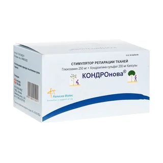 Кондронова капсулы 250 мг+200 мг 120 шт