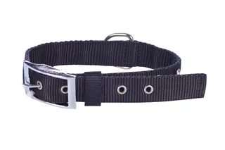Ошейник двойной со стразами Collar для собак dog extremе обхват шеи 38-48 см