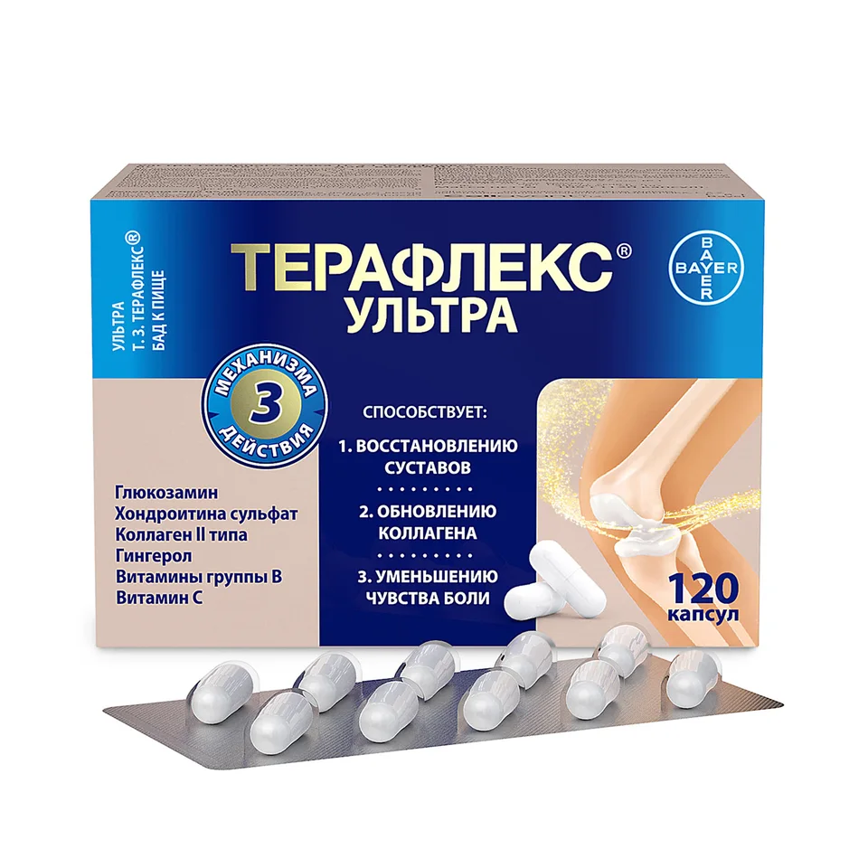 Терафлекс капсулы 500 мг 120 шт