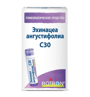 Гомеопатические монокомпонент препараты растительн происхожд 4 гр гранулы гомеопатические C30 Эхинацеа ангустифолиа