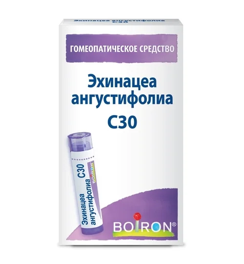 Гомеопатические монокомпонент препараты растительн происхожд 4 гр гранулы гомеопатические C30 Эхинацеа ангустифолиа