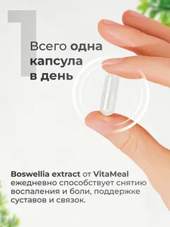 Босвеллия 500 мг, для суставов и связок, 180 капсул, VitaMeal