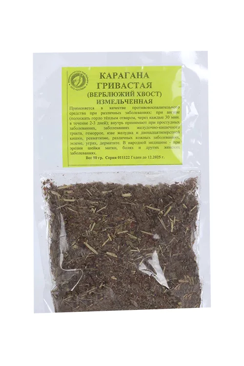 Карагана гривастая (Верблюжий хвост)