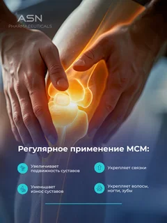 MSM ASN Pharmaceuticals 100 капсул