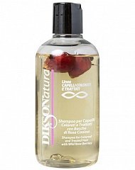 Шампунь для окрашенных волос с экстрактом шиповника Shampoo Colorati, 250 мл (Dikson, DIKSONATURA)